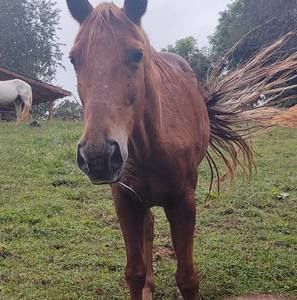 Meet your Posher, Barry